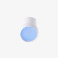 Ceiling Occupancy Sensor