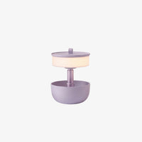 Adjustable Tray Lamp